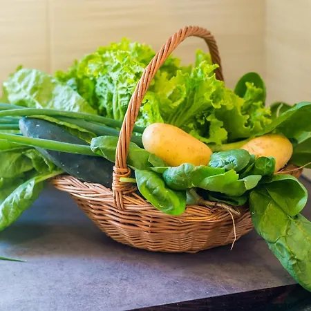 & Ma Din - One Bedroom With Balcony And Sea View Apartmán Slano